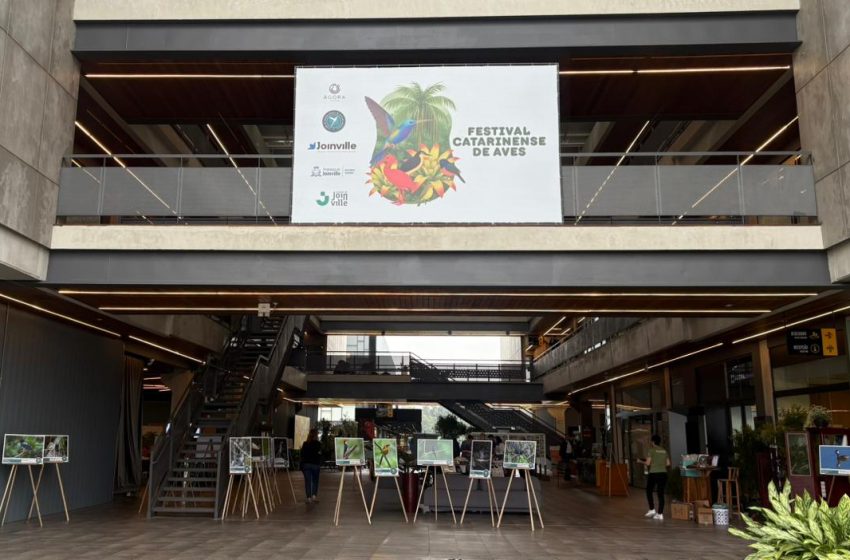 Joinville estreia 1º Festival Catarinense de Aves