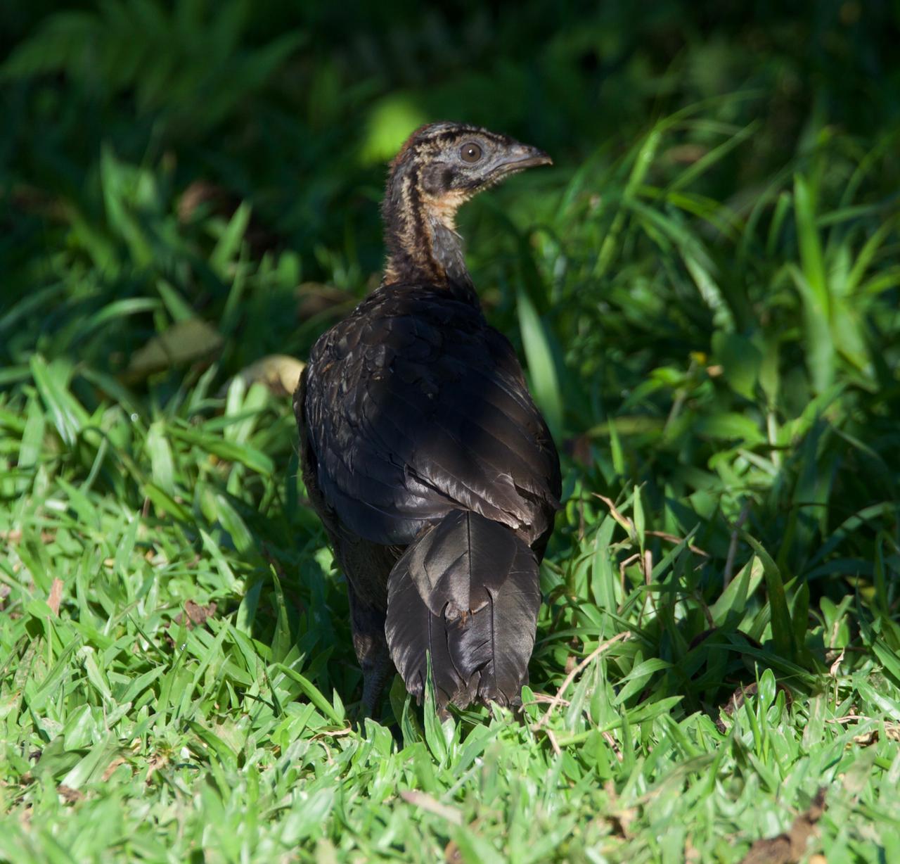 1095fe86-454a-41e3-8b16-35a31c5a254a