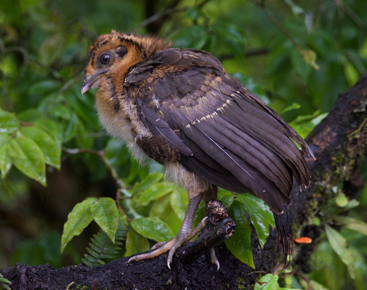 6998124f-7c3d-4459-a6ca-5478a4e9d4d6