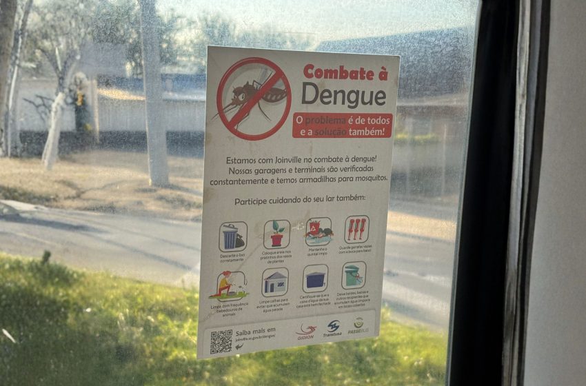  Casos de dengue caem 99% com uso do método Wolbachia em Joinville