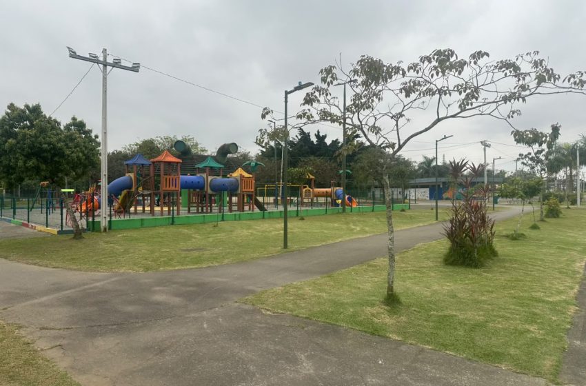  Joinville ganha novas mudas na Semana da Árvore