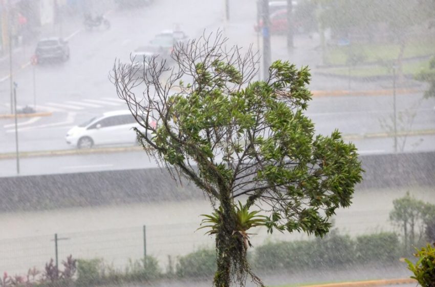  El Niño intensifica transição entre inverno e primavera em Joinville