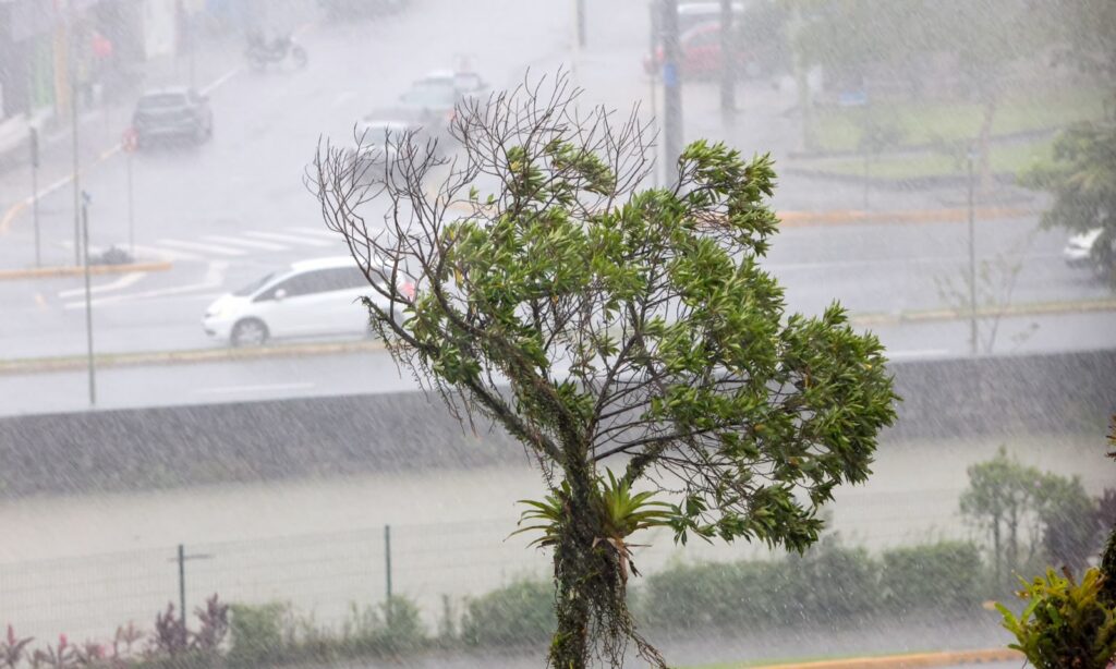 Foto: Prefeitura de Joinville/Divulgação